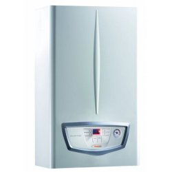 Immergas 3.036484